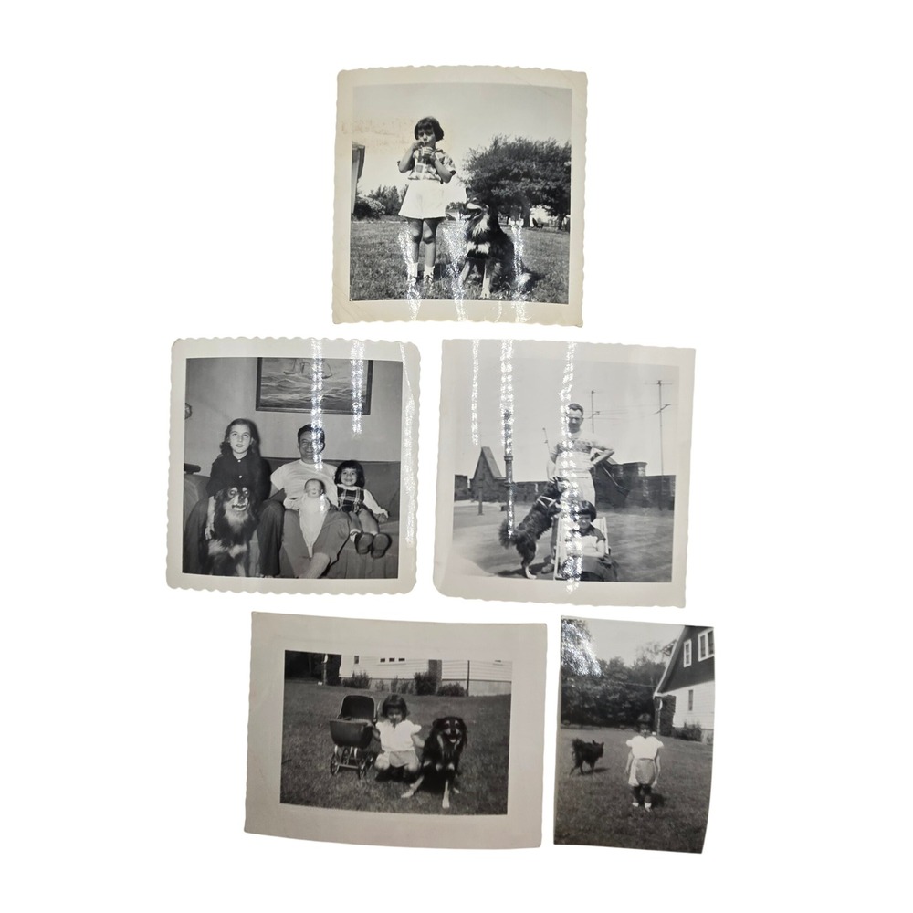 Vintage 1950s B & W Photos Lot of 5 Family Dog Kids Deckle Edge Snapshot